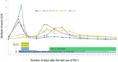 Urinary incontinence as a possible signal of neuromuscular toxicity during immune checkpoint inhibitor treatment: Case report and retrospective pharmacovigilance study